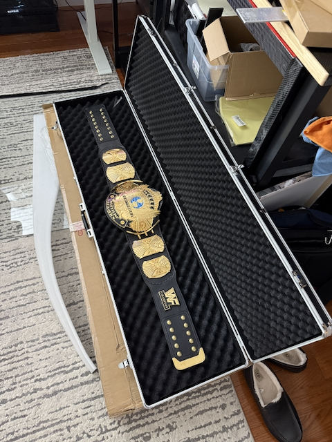 Belt Briefcase