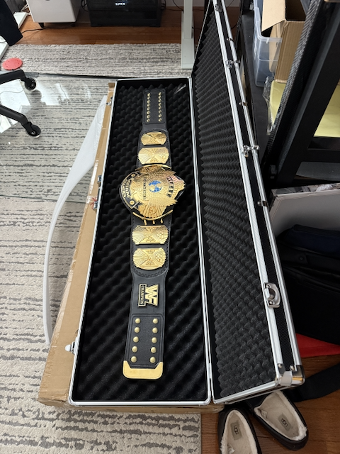 Belt Briefcase