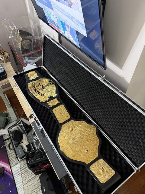 Belt Briefcase
